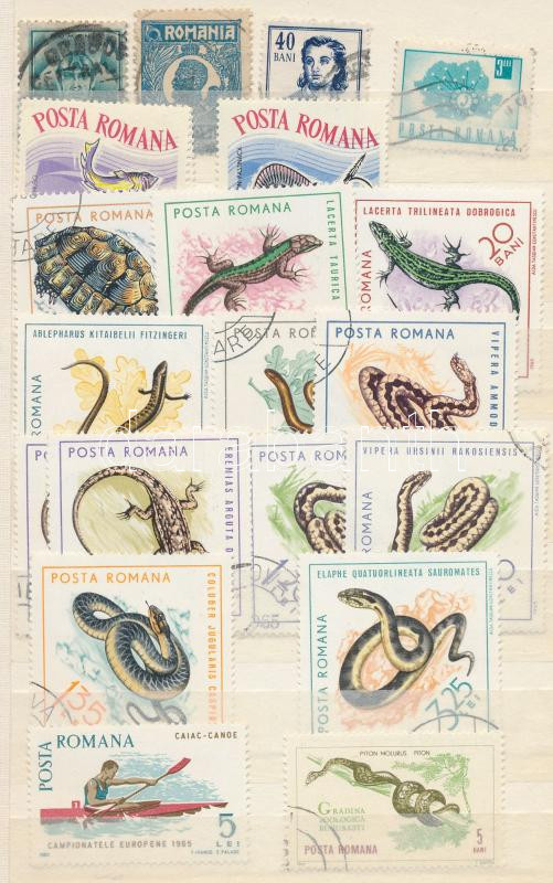Lot 1906 - mixed worldwide worldwide collections and lots - Darabanth Co Ltd Online auction of stamps, postcards and other collectibles #287 Lot 1906 - mixed worldwide worldwide collections and lots - Darabanth Co Ltd Online auction of stamps, postcards and other collectibles #287