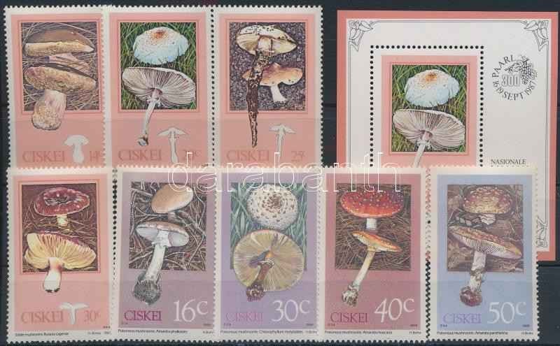 Lot 6511 - south-africa - ciskei philately and postal history world - south africa - ciskei - Darabanth Co Ltd Stamps, Coins and Postcards Mail Auction #284 Lot 6511 - south-africa - ciskei philately and postal history world - south africa - ciskei - Darabanth Co Ltd Stamps, Coins and Postcards Mail Auction #284
