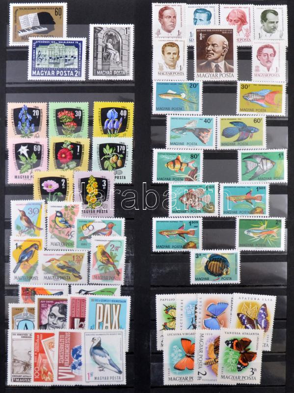 Lot 1651 - Hungary hungarian collections and lots - Darabanth Co Ltd Online auction of stamps, postcards and other collectibles #288 Lot 1651 - Hungary hungarian collections and lots - Darabanth Co Ltd Online auction of stamps, postcards and other collectibles #288