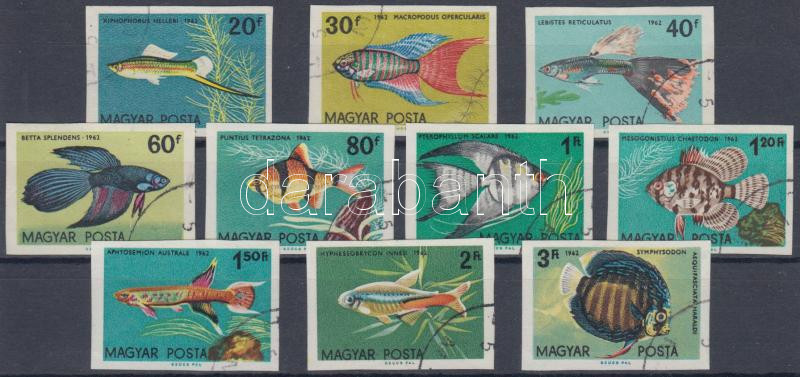 Lot 177 - Hungary imperforate sets - blocks at a very low starting price - Darabanth Co Ltd Stamps, Coins and Postcards Mail Auction #283 Lot 177 - Hungary imperforate sets - blocks at a very low starting price - Darabanth Co Ltd Stamps, Coins and Postcards Mail Auction #283