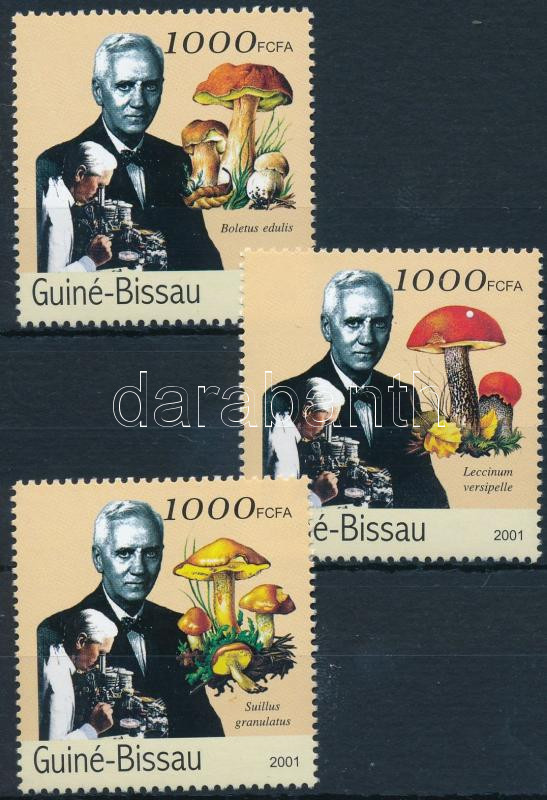 Lot 8119 - Fantasy Issues philately and postal history world - fantasy issues - Darabanth Co Ltd Stamps, Coins and Postcards Mail Auction #283 Lot 8119 - Fantasy Issues philately and postal history world - fantasy issues - Darabanth Co Ltd Stamps, Coins and Postcards Mail Auction #283