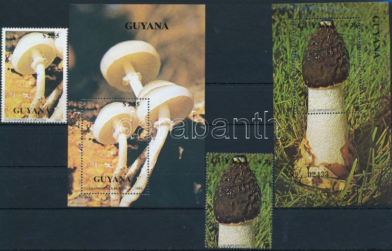 Lot 6787 - guyana philately and postal history world - guyana -  Darabanth Co Ltd Stamps, Coins and Postcards Mail Auction #283