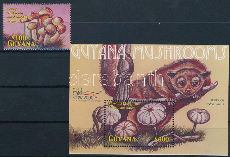 Lot 6795 - guyana philately and postal history world - guyana -  Darabanth Co Ltd Stamps, Coins and Postcards Mail Auction #283