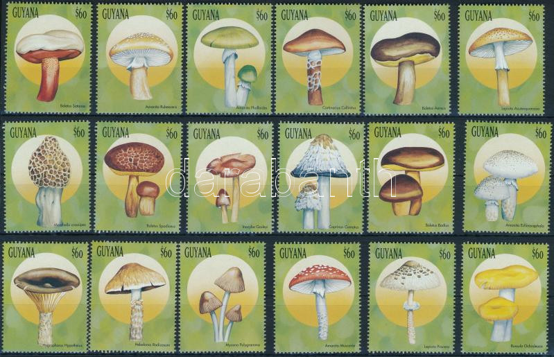 Lot 6792 - guyana philately and postal history world - guyana -  Darabanth Co Ltd Stamps, Coins and Postcards Mail Auction #283