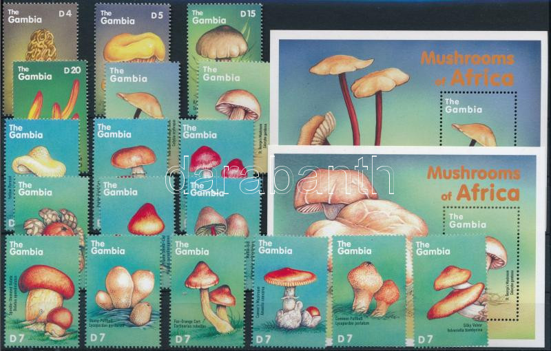 Lot 6647 - gambia philately and postal history world - gambia -  Darabanth Co Ltd Stamps, Coins and Postcards Mail Auction #283