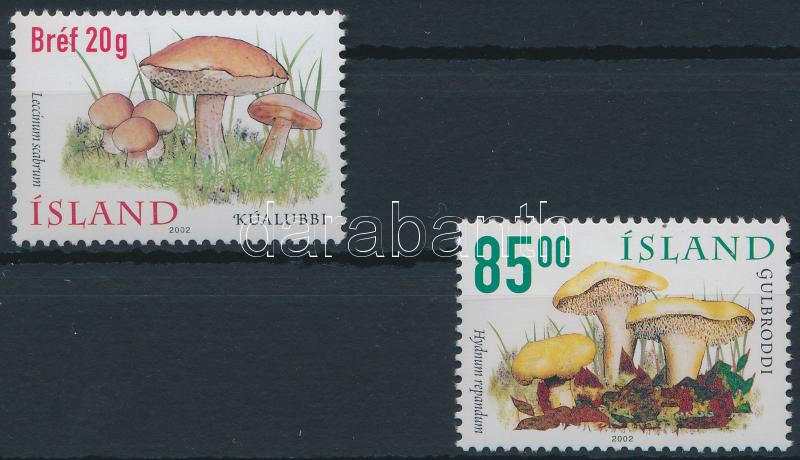 Lot 6976 - Iceland philately and postal history world - iceland - Darabanth Co Ltd Stamps, Coins and Postcards Mail Auction #283 Lot 6976 - Iceland philately and postal history world - iceland - Darabanth Co Ltd Stamps, Coins and Postcards Mail Auction #283