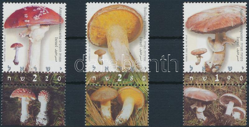 Lot 6995 - Israel philately and postal history world - israel -  Darabanth Co Ltd Stamps, Coins and Postcards Mail Auction #283