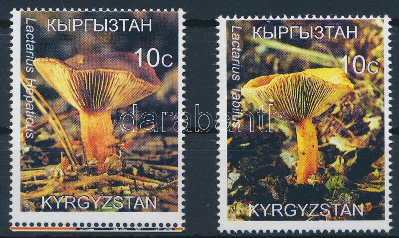 Lot 8127 - Fantasy Issues philately and postal history world - fantasy issues - Darabanth Co Ltd Stamps, Coins and Postcards Mail Auction #283 Lot 8127 - Fantasy Issues philately and postal history world - fantasy issues - Darabanth Co Ltd Stamps, Coins and Postcards Mail Auction #283