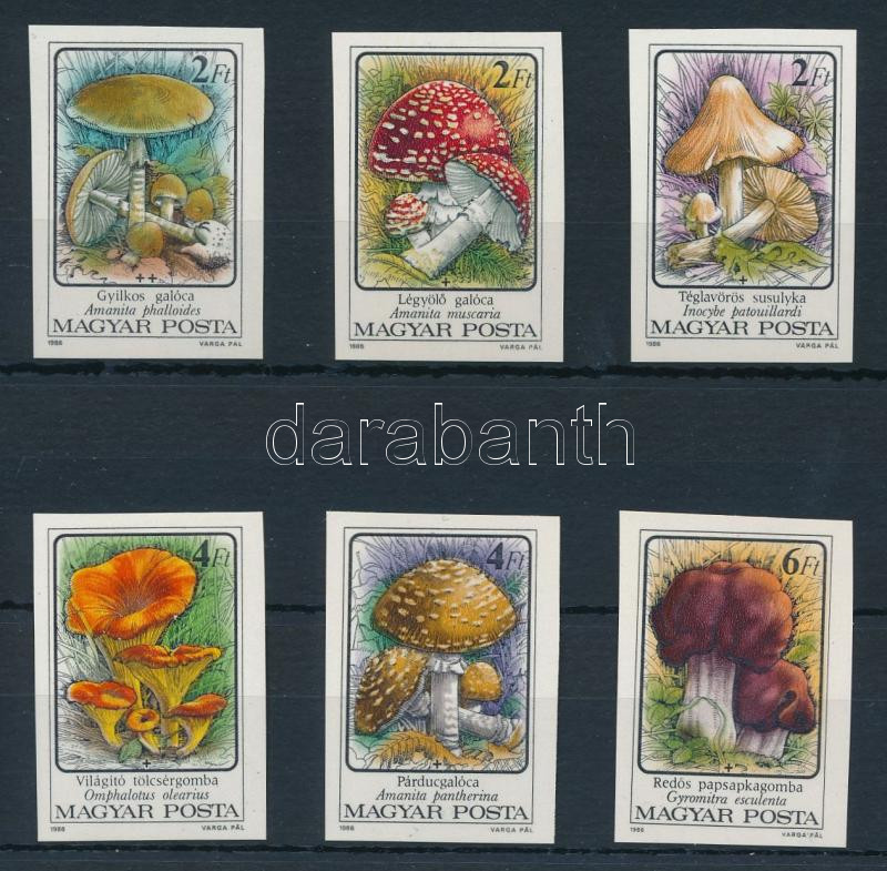 Lot 257 - Hungary Imperforate sets, blocks at a very low starting price - Darabanth Co Ltd Stamps, Coins and Postcards Mail Auction #284 Lot 257 - Hungary Imperforate sets, blocks at a very low starting price - Darabanth Co Ltd Stamps, Coins and Postcards Mail Auction #284