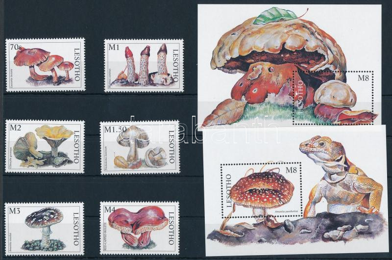 Lot 7617 - lesotho philately and postal history world - lesotho - Darabanth Co Ltd Online auction of stamps, postcards and other collectibles #285 Lot 7617 - lesotho philately and postal history world - lesotho - Darabanth Co Ltd Online auction of stamps, postcards and other collectibles #285