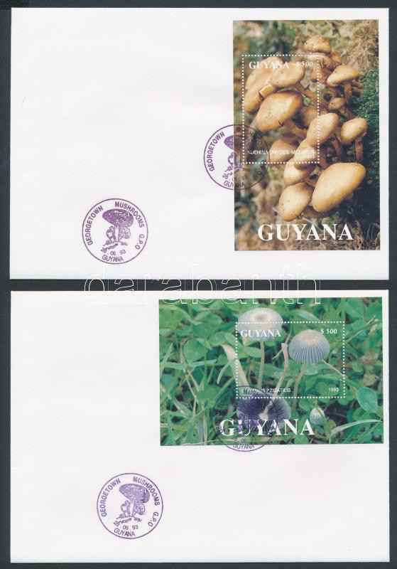 Lot 7124 - guyana philately and postal history world - guyana -  Darabanth Co Ltd Online auction of stamps, postcards and other collectibles #285 