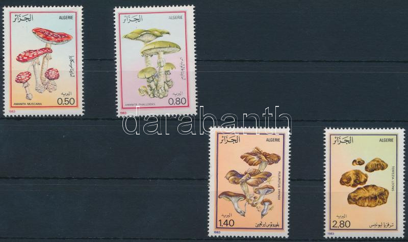Lot 6535 - Algeria Philately and postal history world - Algeria - Darabanth Co Ltd Online auction of stamps, postcards and other collectibles #285 Lot 6535 - Algeria Philately and postal history world - Algeria - Darabanth Co Ltd Online auction of stamps, postcards and other collectibles #285