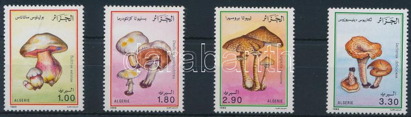 Lot 6537 - Algeria Philately and postal history world - Algeria - Darabanth Co Ltd Online auction of stamps, postcards and other collectibles #285 Lot 6537 - Algeria Philately and postal history world - Algeria - Darabanth Co Ltd Online auction of stamps, postcards and other collectibles #285