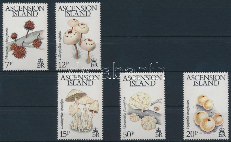 Lot 6580 - Ascension philately and postal history world - ascension - Darabanth Co Ltd Online auction of stamps, postcards and other collectibles #285 Lot 6580 - Ascension philately and postal history world - ascension - Darabanth Co Ltd Online auction of stamps, postcards and other collectibles #285