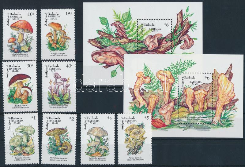 Lot 6566 - Antigua and Barbuda / Barbuda Philately and postal history World - Antigua and Barbuda / Barbuda -  Darabanth Co Ltd Online auction of stamps, postcards and other collectibles #285 