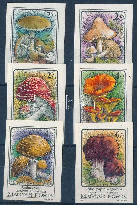 Lot 154 - Hungary Imperforate sets, blocks at a very low starting price - Darabanth Co Ltd Online auction of stamps, postcards and other collectibles #287 Lot 154 - Hungary Imperforate sets, blocks at a very low starting price - Darabanth Co Ltd Online auction of stamps, postcards and other collectibles #287