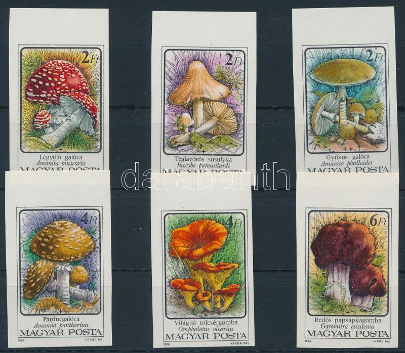 Lot 344 - Hungary Imperforate sets, blocks at a very low starting price -  Darabanth Co Ltd Online auction of stamps, postcards and other collectibles #285 