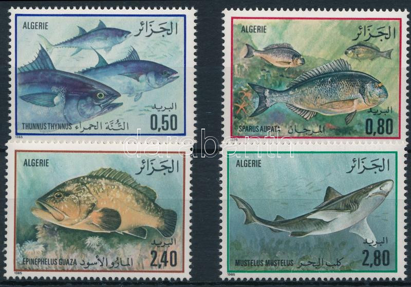 Lot 6536 - Algeria Philately and postal history world - Algeria - Darabanth Co Ltd Online auction of stamps, postcards and other collectibles #285 Lot 6536 - Algeria Philately and postal history world - Algeria - Darabanth Co Ltd Online auction of stamps, postcards and other collectibles #285
