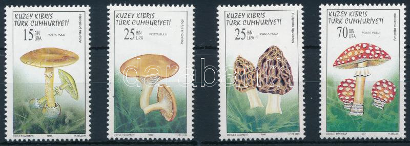Lot 8304 - turkish cyprus philately and postal history world - turkish cyprus - Darabanth Co Ltd Online auction of stamps, postcards and other collectibles #288 Lot 8304 - turkish cyprus philately and postal history world - turkish cyprus - Darabanth Co Ltd Online auction of stamps, postcards and other collectibles #288