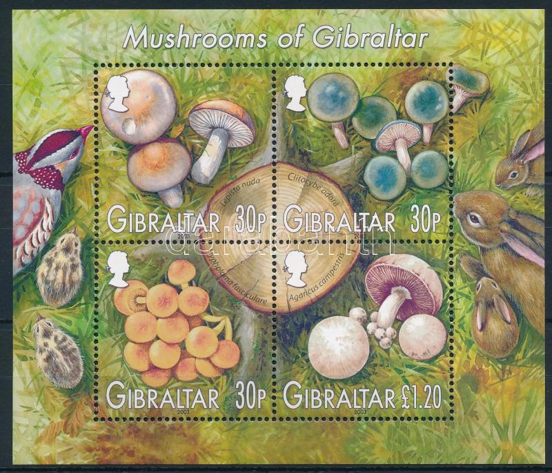Lot 6871 - Gibraltar philately and postal history world - gibraltar - Darabanth Co Ltd Online auction of stamps, postcards and other collectibles #288 Lot 6871 - Gibraltar philately and postal history world - gibraltar - Darabanth Co Ltd Online auction of stamps, postcards and other collectibles #288
