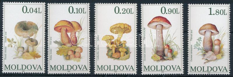 Lot 7416 - moldavia philately and postal history world - moldavia - Darabanth Co Ltd Online auction of stamps, postcards and other collectibles #288 Lot 7416 - moldavia philately and postal history world - moldavia - Darabanth Co Ltd Online auction of stamps, postcards and other collectibles #288