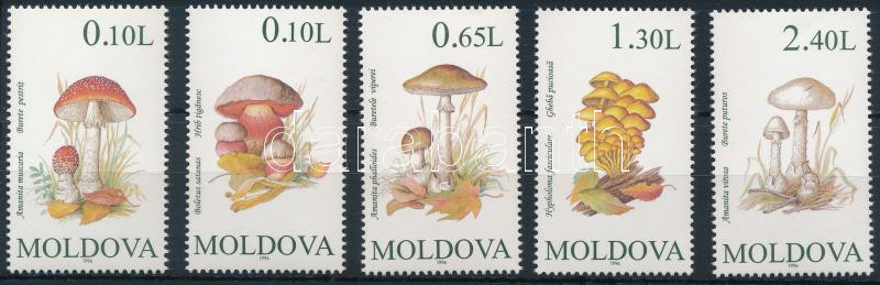 Lot 7417 - moldavia philately and postal history world - moldavia - Darabanth Co Ltd Online auction of stamps, postcards and other collectibles #288 Lot 7417 - moldavia philately and postal history world - moldavia - Darabanth Co Ltd Online auction of stamps, postcards and other collectibles #288