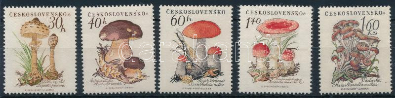 Lot 6637 - Czechoslovakia philately and postal history world - czechoslovakia - Darabanth Co Ltd Online auction of stamps, postcards and other collectibles #288 Lot 6637 - Czechoslovakia philately and postal history world - czechoslovakia - Darabanth Co Ltd Online auction of stamps, postcards and other collectibles #288