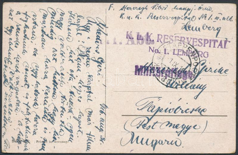 Lot 842 - Hungary Hungarian covers at a very low starting price - Darabanth Co Ltd Online auction of stamps, postcards and other collectibles #288 Lot 842 - Hungary Hungarian covers at a very low starting price - Darabanth Co Ltd Online auction of stamps, postcards and other collectibles #288