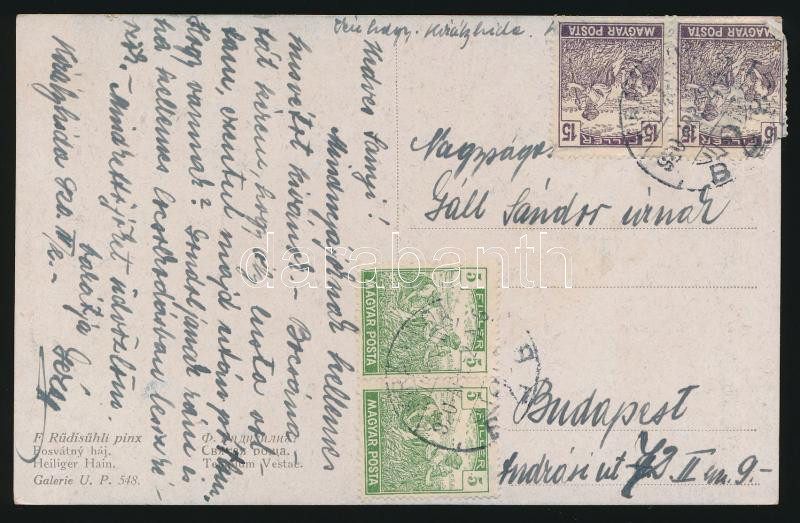 Lot 796 - Hungary Hungarian covers at a very low starting price - Darabanth Co Ltd Online auction of stamps, postcards and other collectibles #287 Lot 796 - Hungary Hungarian covers at a very low starting price - Darabanth Co Ltd Online auction of stamps, postcards and other collectibles #287