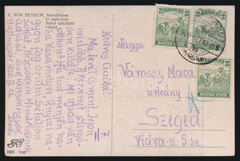 Lot 794 - Hungary Hungarian covers at a very low starting price - Darabanth Co Ltd Online auction of stamps, postcards and other collectibles #287 Lot 794 - Hungary Hungarian covers at a very low starting price - Darabanth Co Ltd Online auction of stamps, postcards and other collectibles #287
