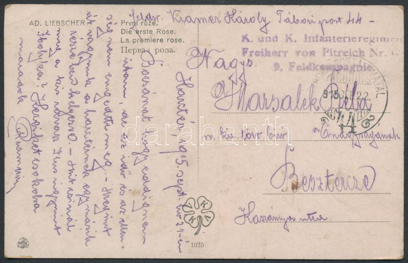 Lot 707 - Hungary Hungarian covers at a very low starting price - Darabanth Co Ltd Online auction of stamps, postcards and other collectibles #288 Lot 707 - Hungary Hungarian covers at a very low starting price - Darabanth Co Ltd Online auction of stamps, postcards and other collectibles #288