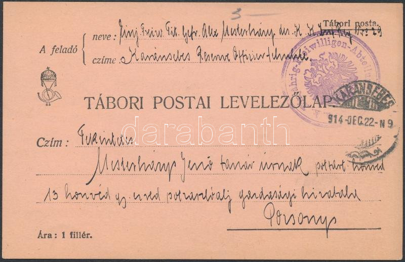 Lot 694 - Hungary Hungarian covers at a very low starting price - Darabanth Co Ltd Online auction of stamps, postcards and other collectibles #288 Lot 694 - Hungary Hungarian covers at a very low starting price - Darabanth Co Ltd Online auction of stamps, postcards and other collectibles #288