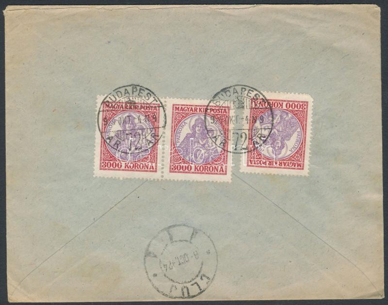 Lot 1161 - Hungary Hungarian covers at a very low starting price - Darabanth Co Ltd Online auction of stamps, postcards and other collectibles #288 Lot 1161 - Hungary Hungarian covers at a very low starting price - Darabanth Co Ltd Online auction of stamps, postcards and other collectibles #288