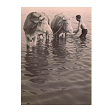 Beendet 286. Fernauktion - Andere Sammelgebiete