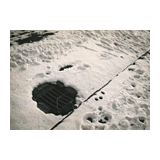 Beendet 334. Fernauktion - Fotografie