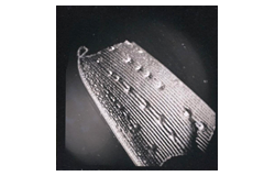 Closed 447. Online auction - Photography