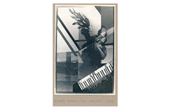 Beendet 483. Fernauktion - Fotografie