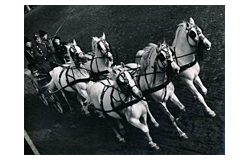 Beendet 485. Fernauktion - Fotografie