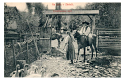 490. Online auction - Postcards