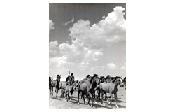 Lezárult 502. Gyorsárverés - Fotóművészet