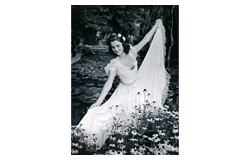 Closed 504. Online auction - Photography