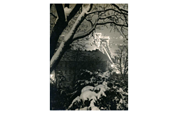 514 Auction: philately, postcards, numismatics, artwork, books, colletibles, jewelry sale of the unsold lots - Photography