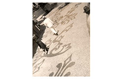 515 Auction: philately, postcards, numismatics, artwork, books, collectibles, jewelry - Photography