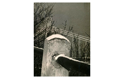 524. Auction: philately, postcards, numismatics, artwork, books, collectibles, jewelry - Photography