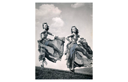 534. Auction: philately, postcards, numismatics, artwork, books, collectibles, jewelry sale of the unsold lots - Photography