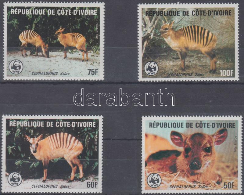 WWF: Zebra-bóbitásantilop sor, WWF: Zebra duiker set