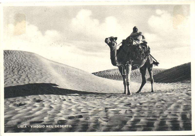 Líbiai folklór, sivatag, teve, Libyan folklore in the desert, camel