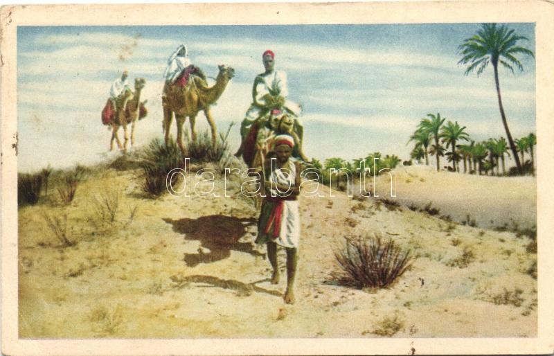 Líbiai folklór, tevék, sivatag, Libyan folklore, camels in the desert