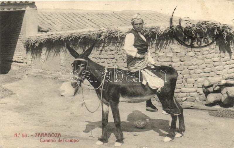 Camino del campo / Spanish folklore from Zaragoza, donkey, Spanyol folklór, szamár