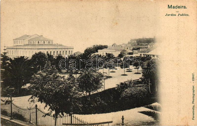 Madeira, Jardin Publico / public garden